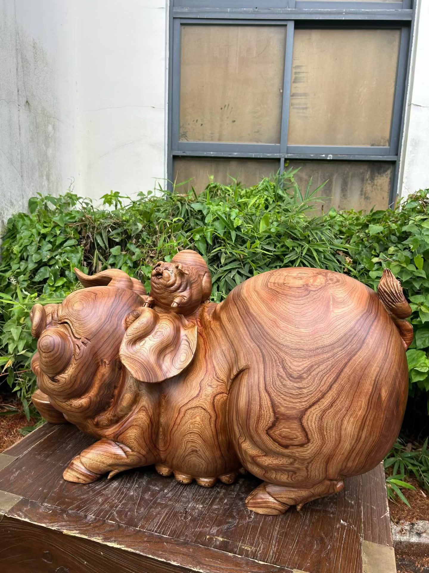 自然木形状　肥松 香樟木招财福猪多子多福诸事如意招财进宝，精工细刻，一体成型， 尺寸