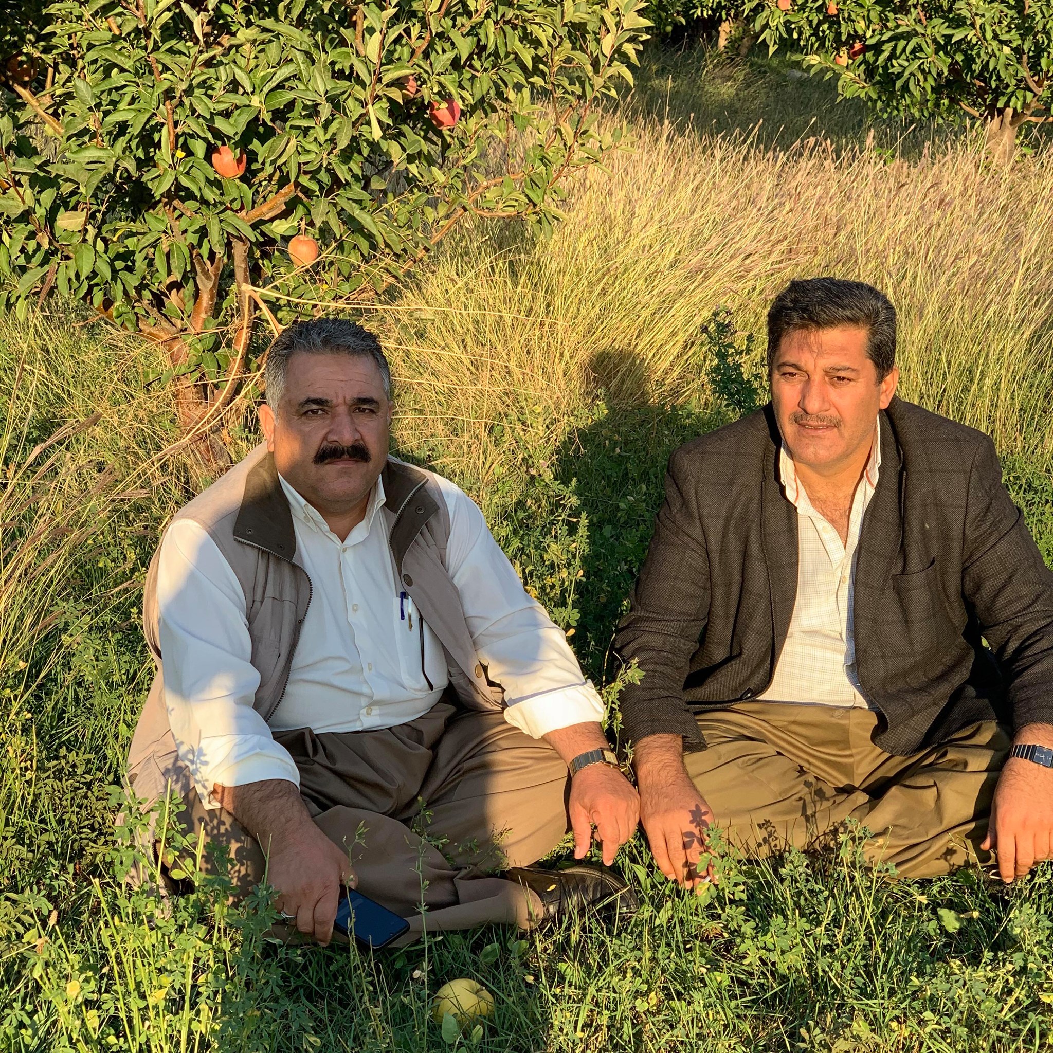 Davod Davodı