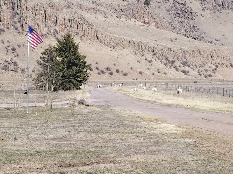 RC Guest Ranch | Creede CO