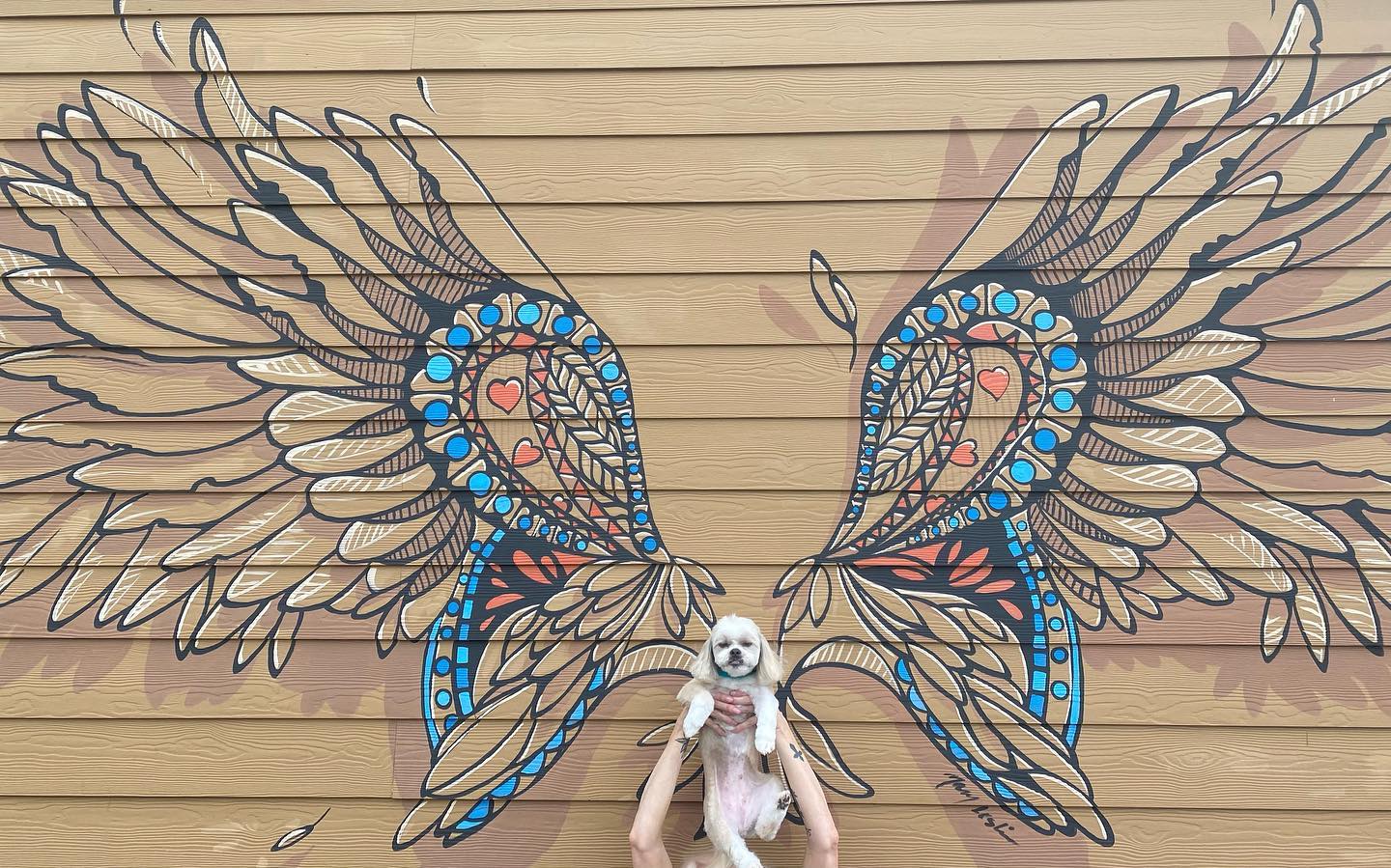The Fetch House - The Fetch House gives you wings. Nelly... | Facebook