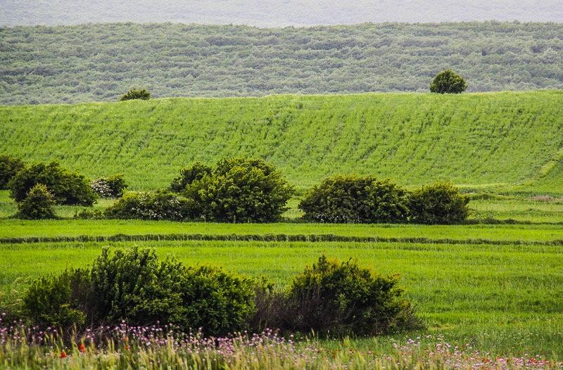 همگردی - اردبیل - ::: تصاویری زیبا از طبیعت نمین