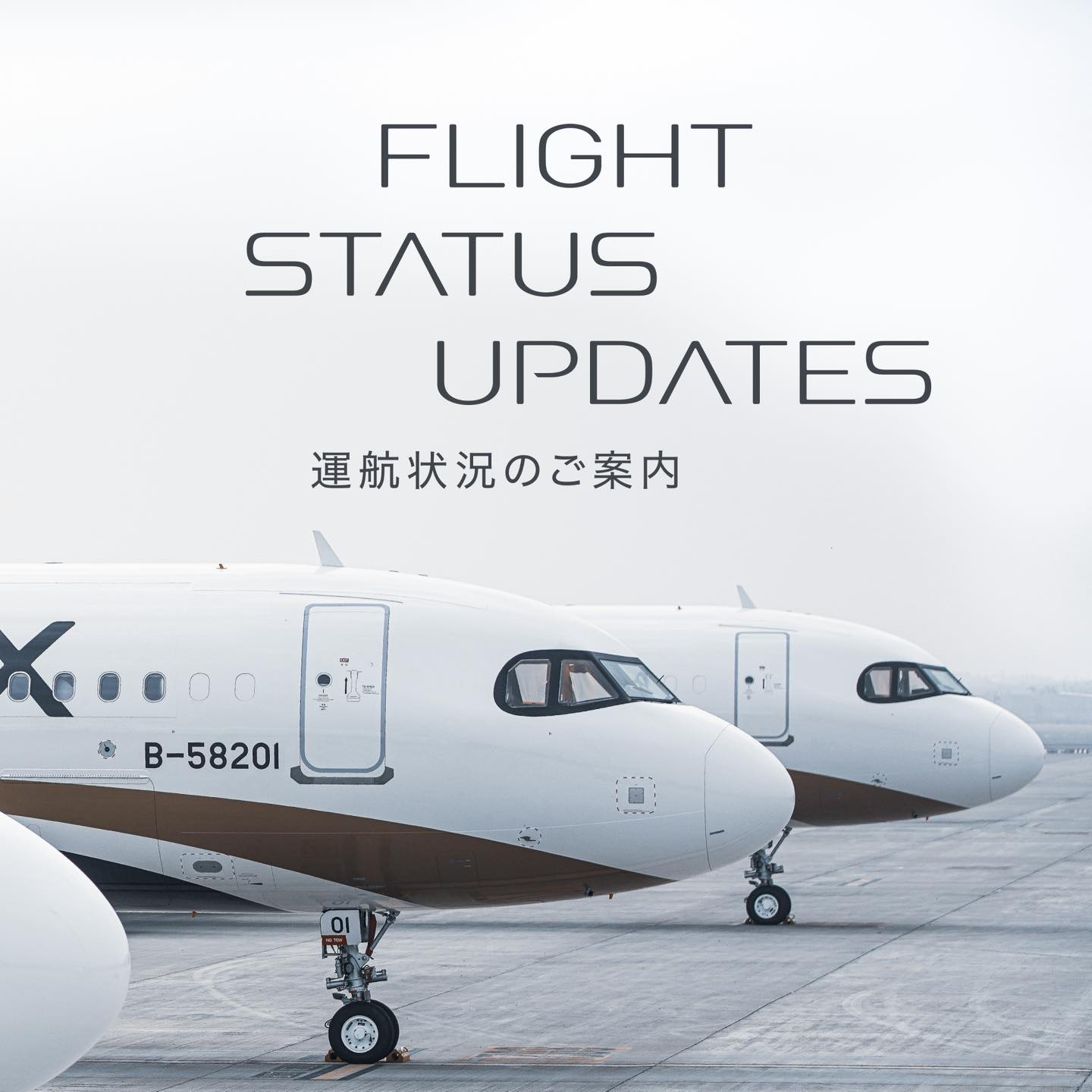 Steiff x STARLUX テディベアが再登場！ 】 ドイツの老舗ぬいぐるみ