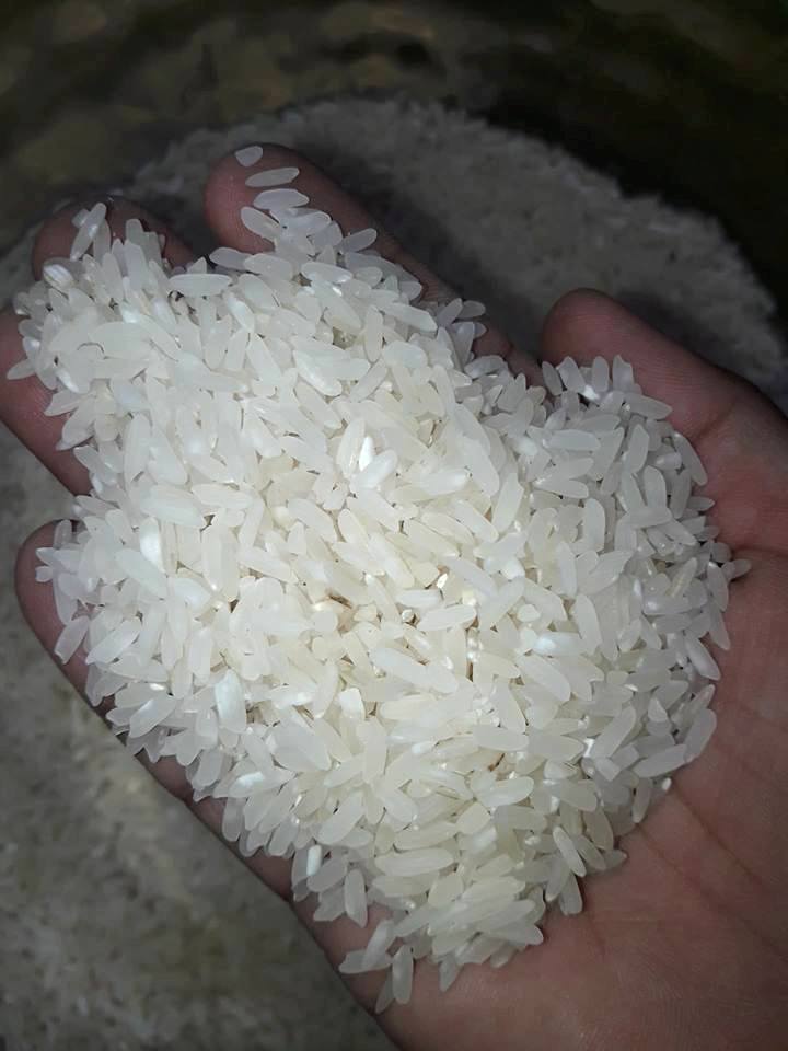 Unli - Rice - Variety - Rc 216 Weight - 50kgs Qualities:... | Facebook