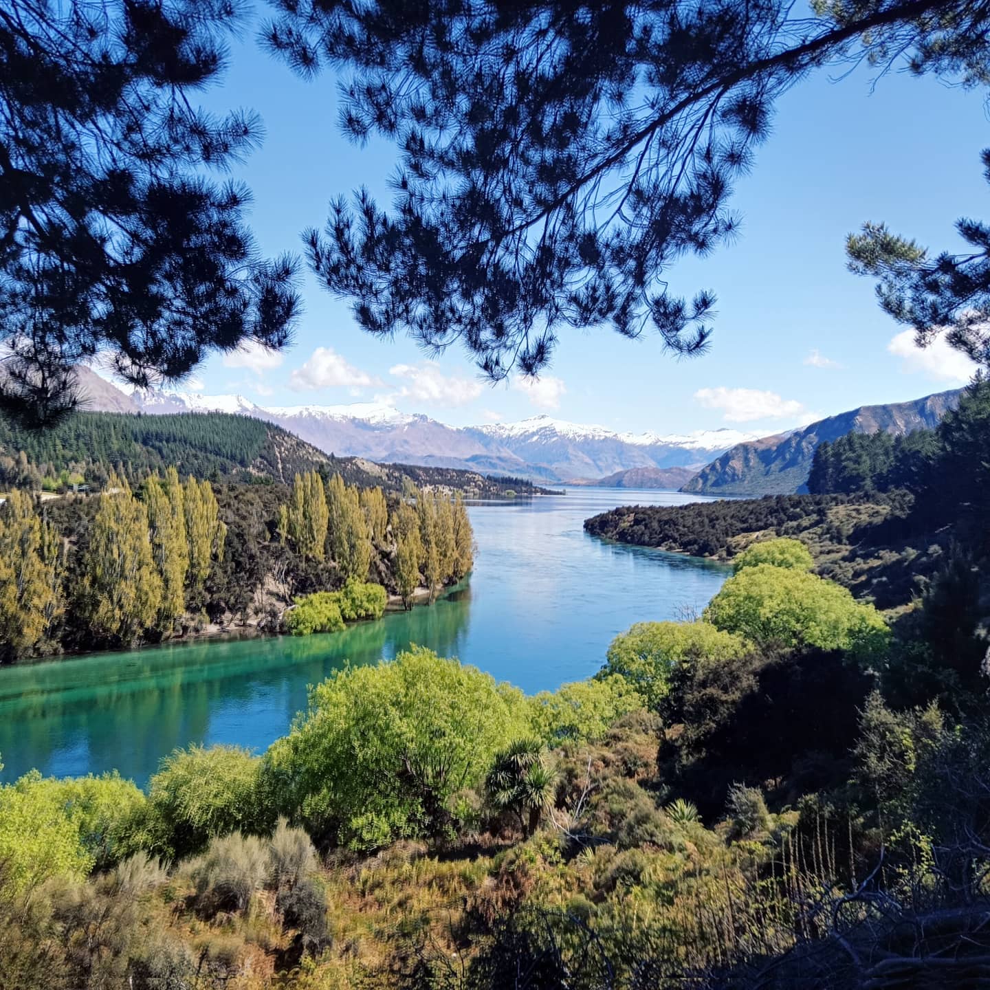 What does nature mean to you? Why is it important to you? Share