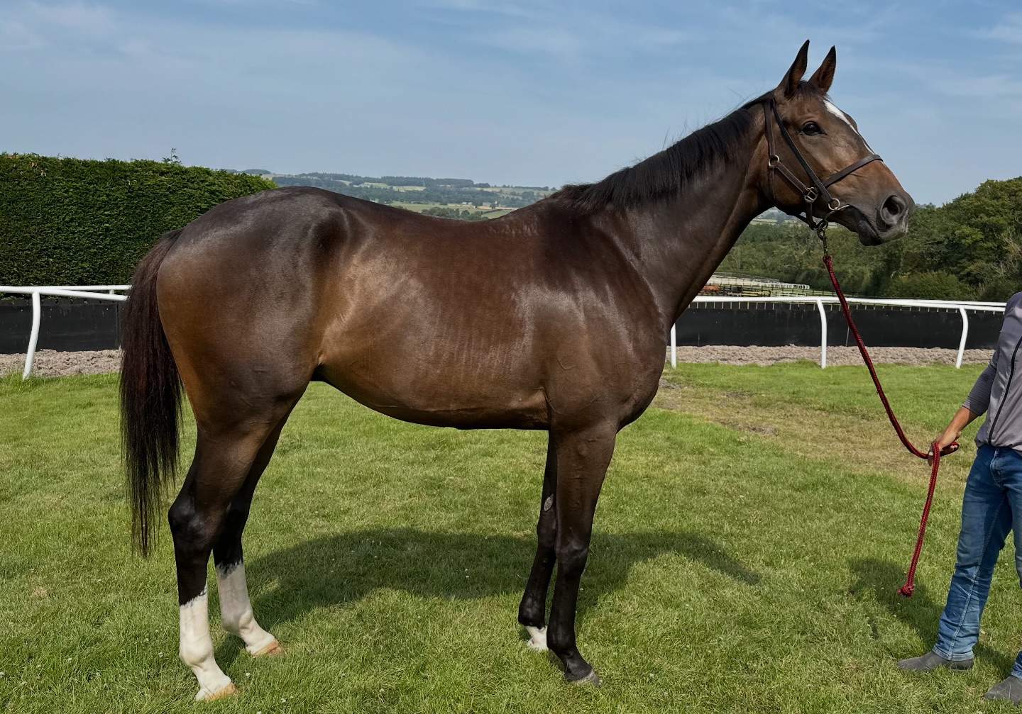 Ann Duffield Racing | Leyburn