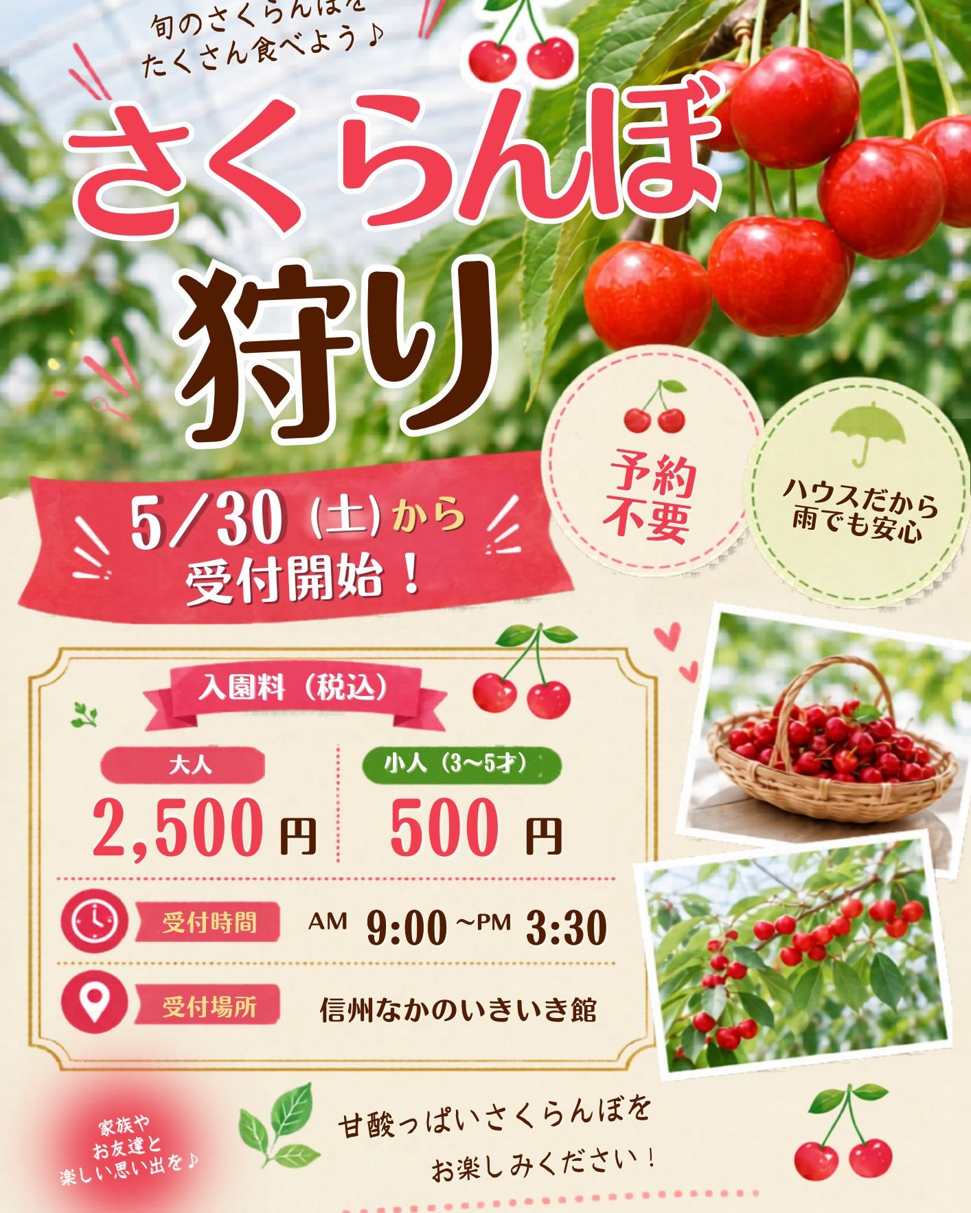 ?本日からさくらんぼ狩り受付開始になります‼? さくらんぼ狩りは30 