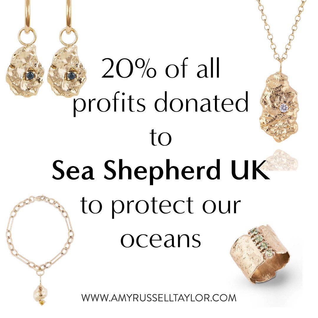 🐋 Introducing the Sea... - Captain Paul Watson Foundation UK | Facebook