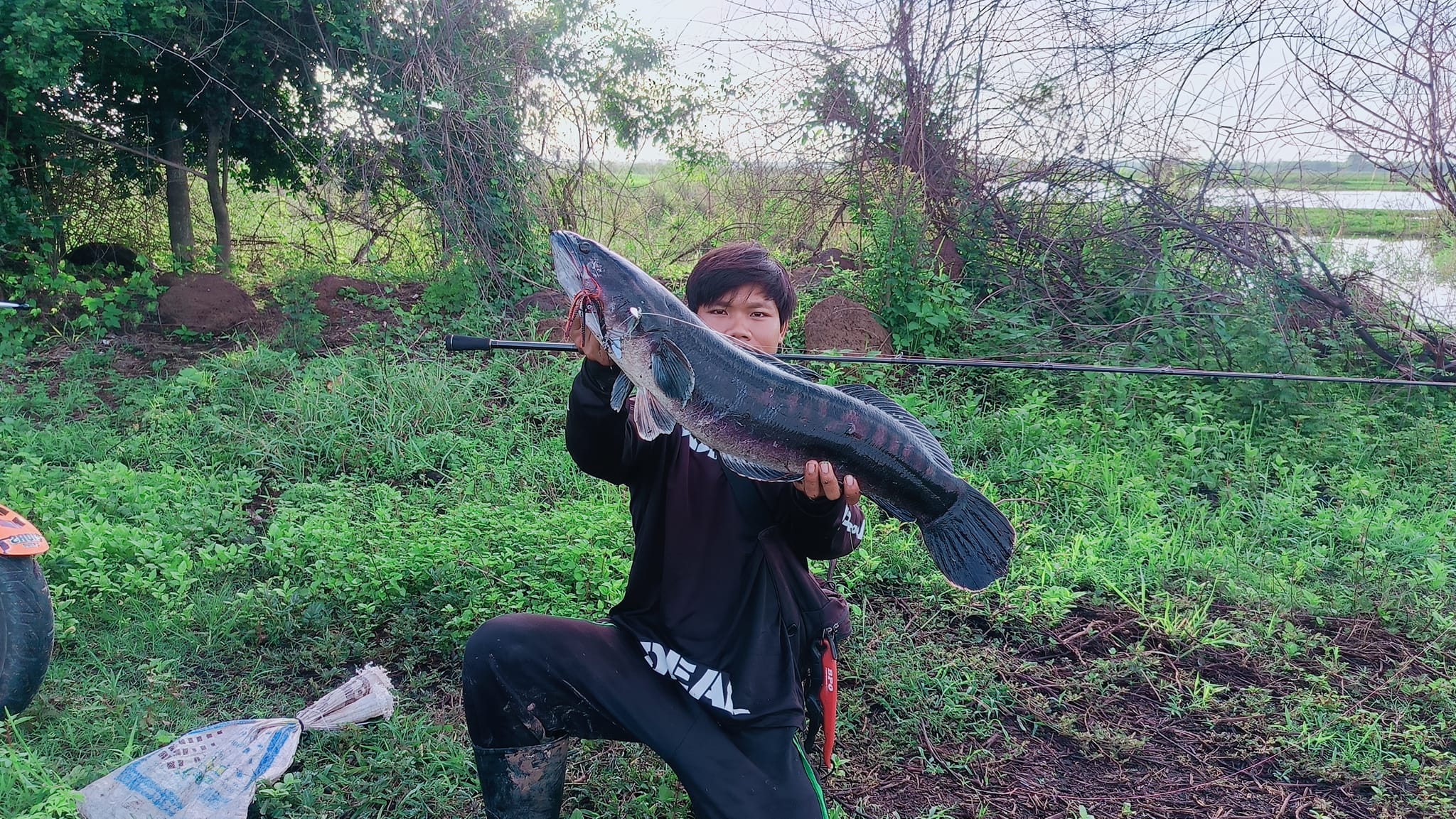 Bronh Chea Fishing