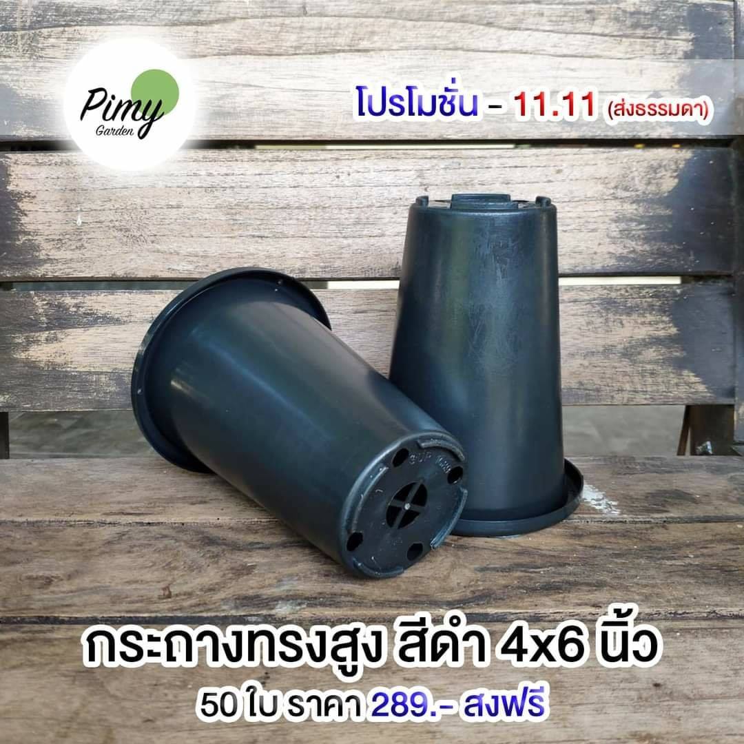 🔥 มาแล้ววว!! 11.11... - Pimy Garden - กระถางต้นไม้พลาสติก | Facebook