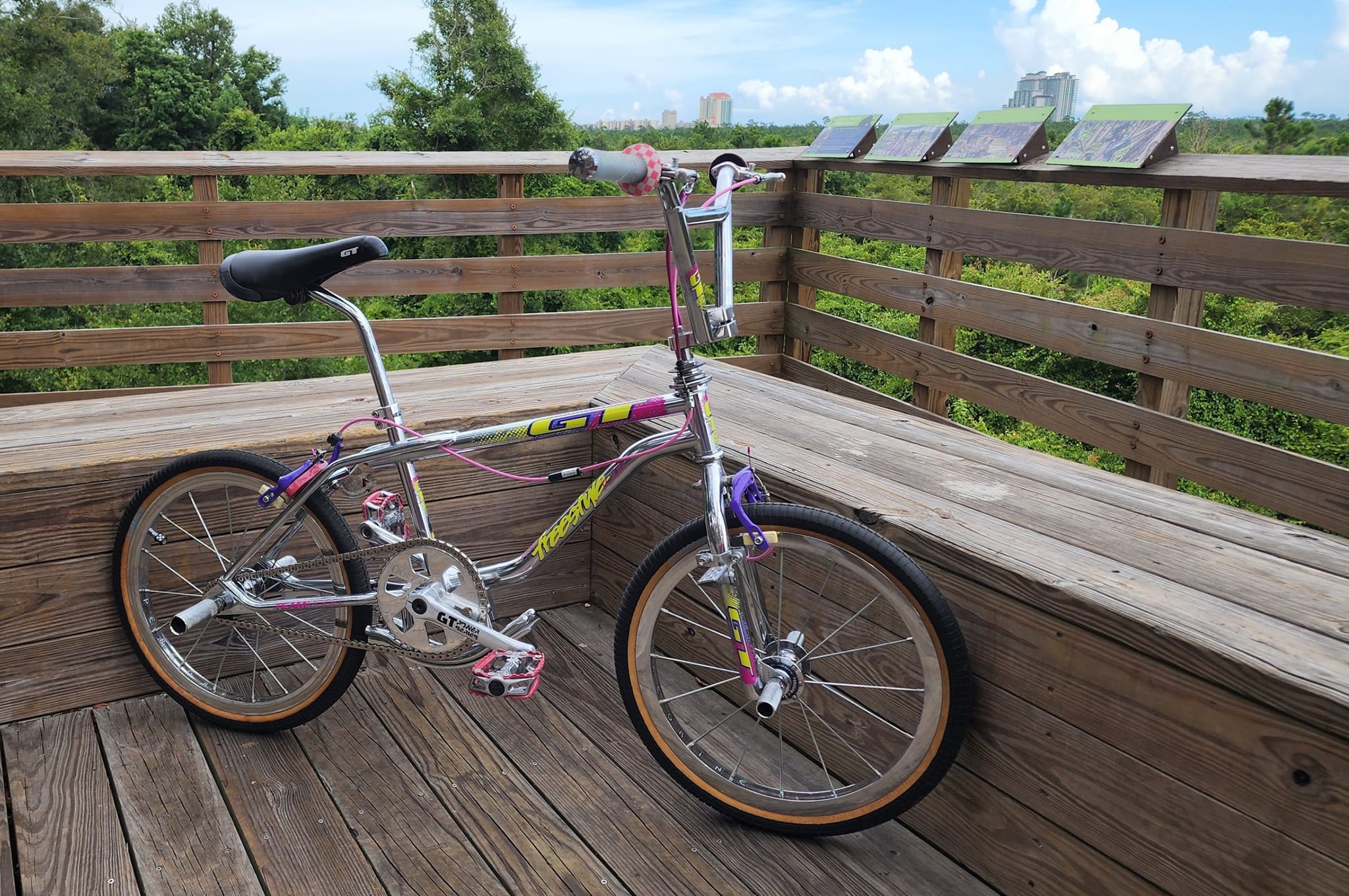Old-school or na? 1991 GT Pro Freestyle Tour