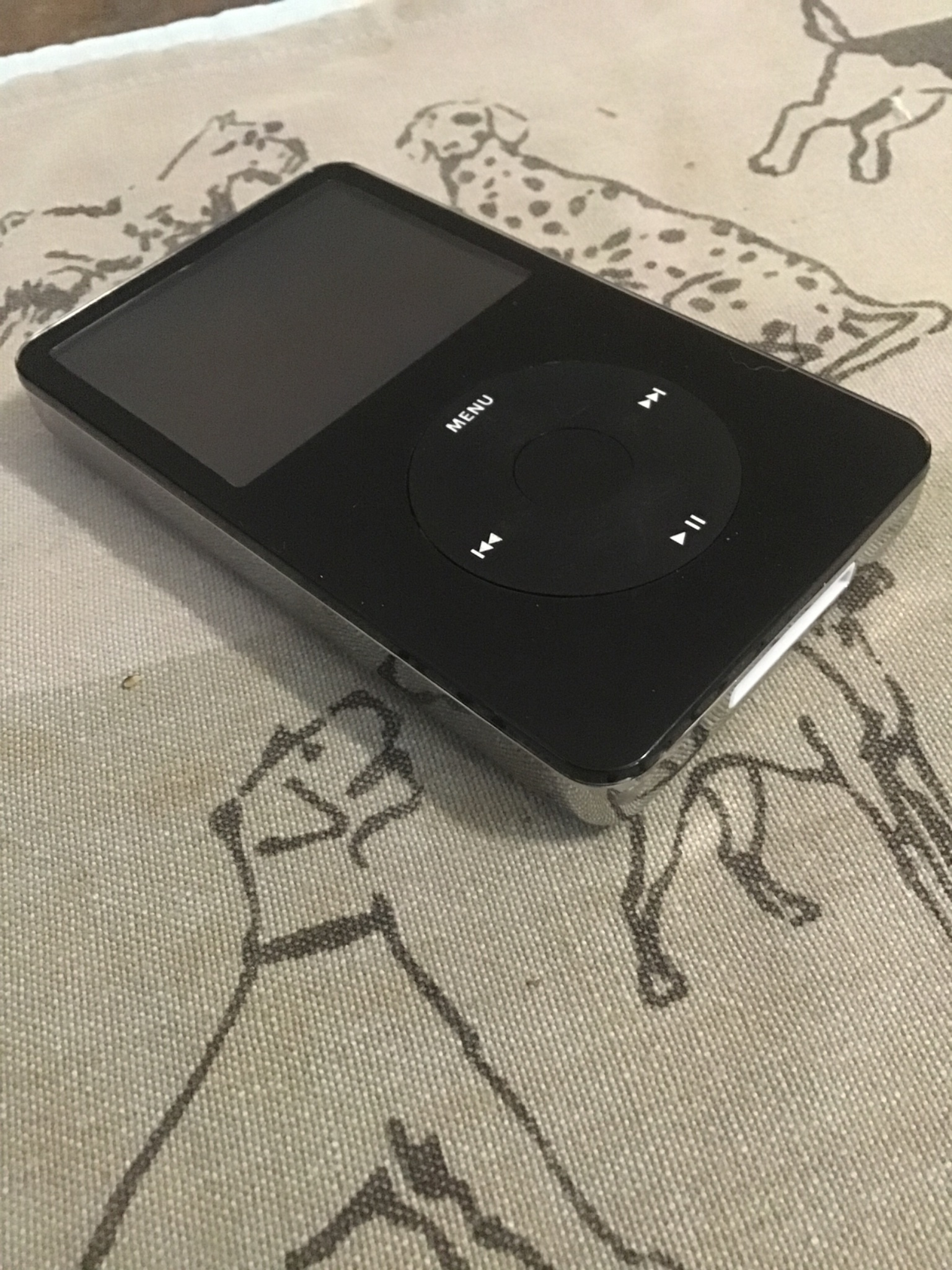 What cases fit a thick 80GB iPod classic model A1136?