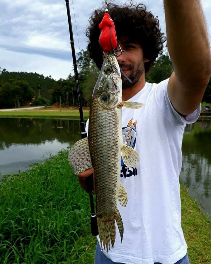 Grob Pesca