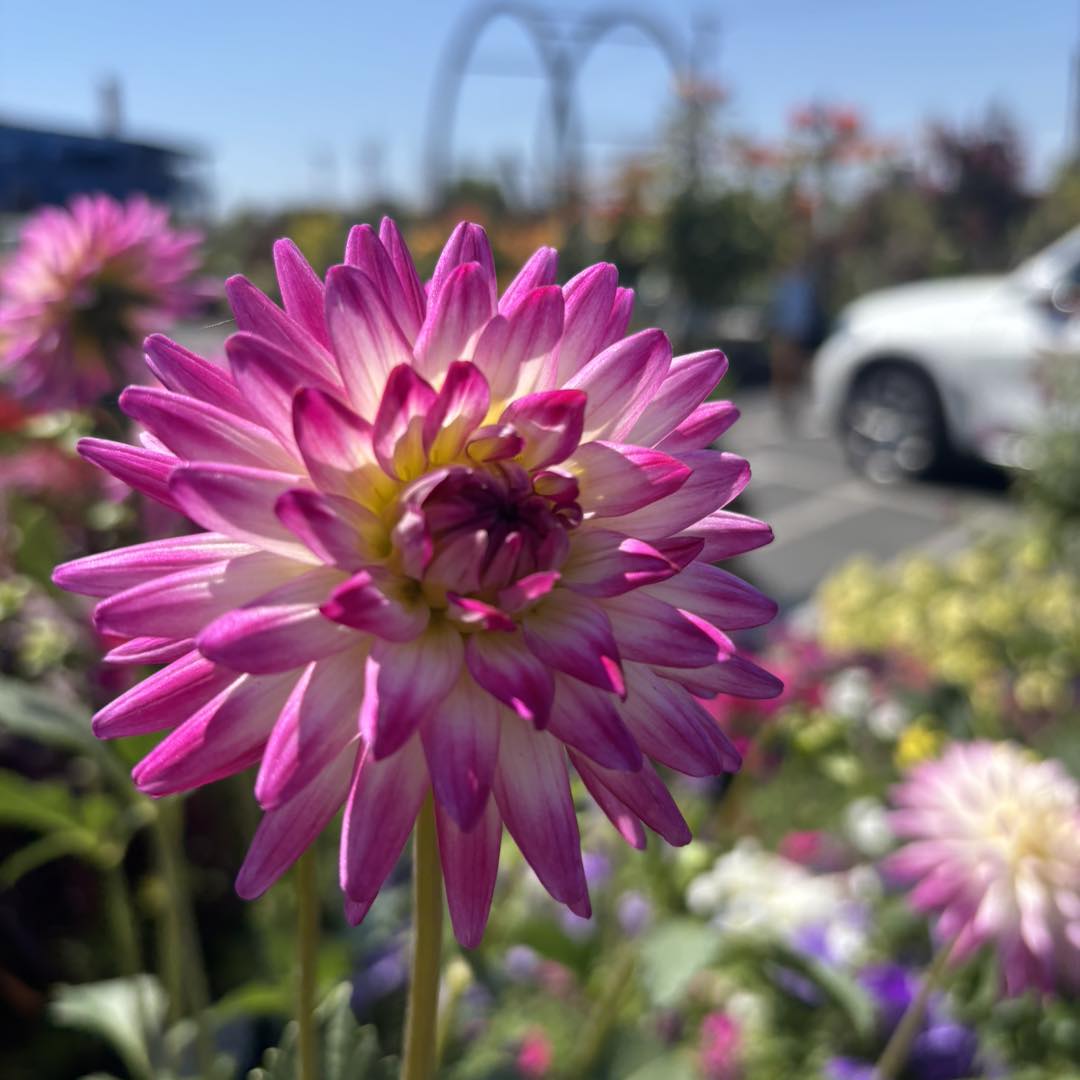 Kraemer's Garden, Inc. added a - Kraemer's Garden, Inc.