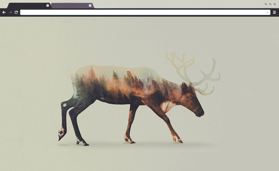 1st Browser