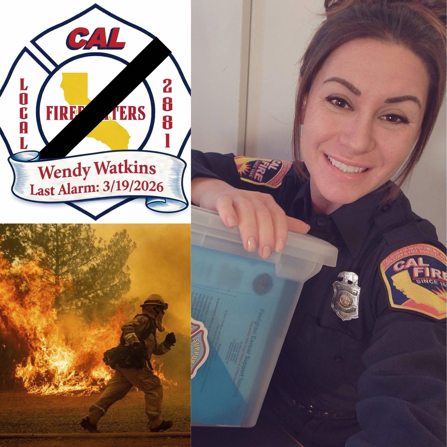 It is with profound sadness to announce the passing of Firefighter
