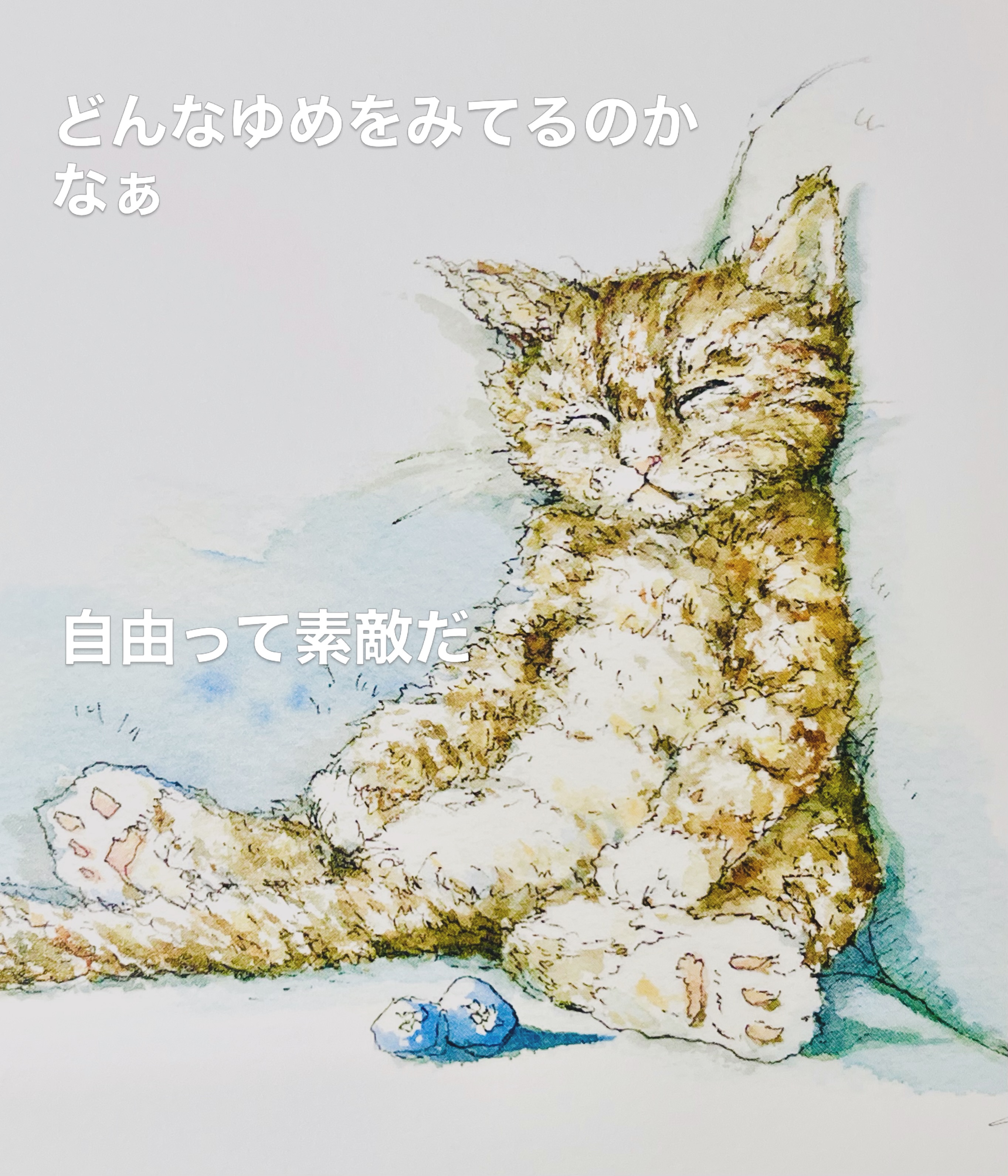 内田新哉