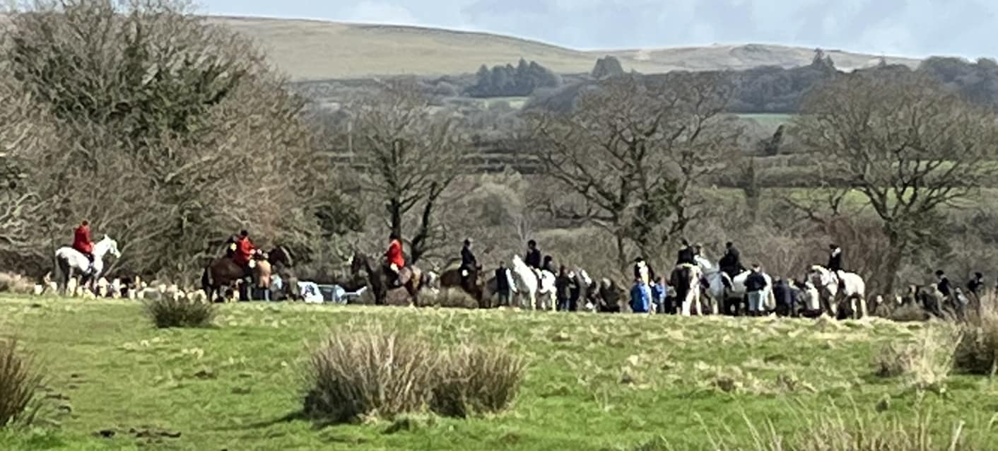 We are currently sabbing... - Plymouth & West Devon Hunt Sabs | Facebook