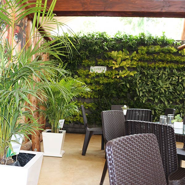 Reverdece Perú - Jardines Verticales🍃 ... - Construproductos