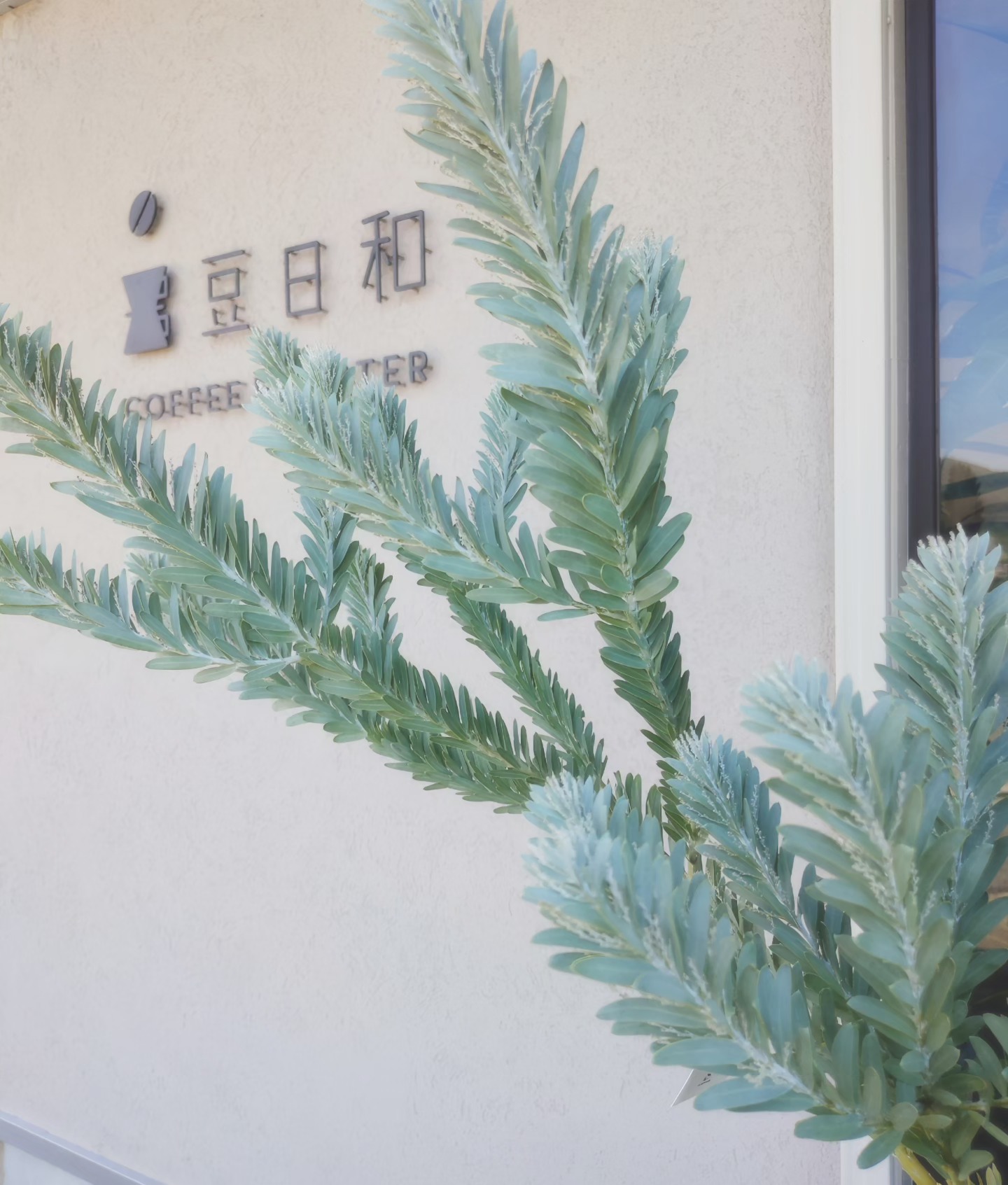 豆日和 Coffee Roaster (@mamebiyori.CoffeeRoaster) • Facebook