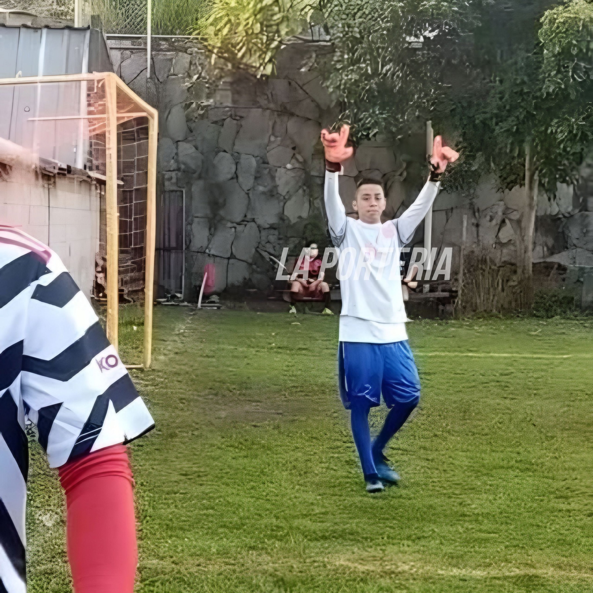 Roly Rocha
