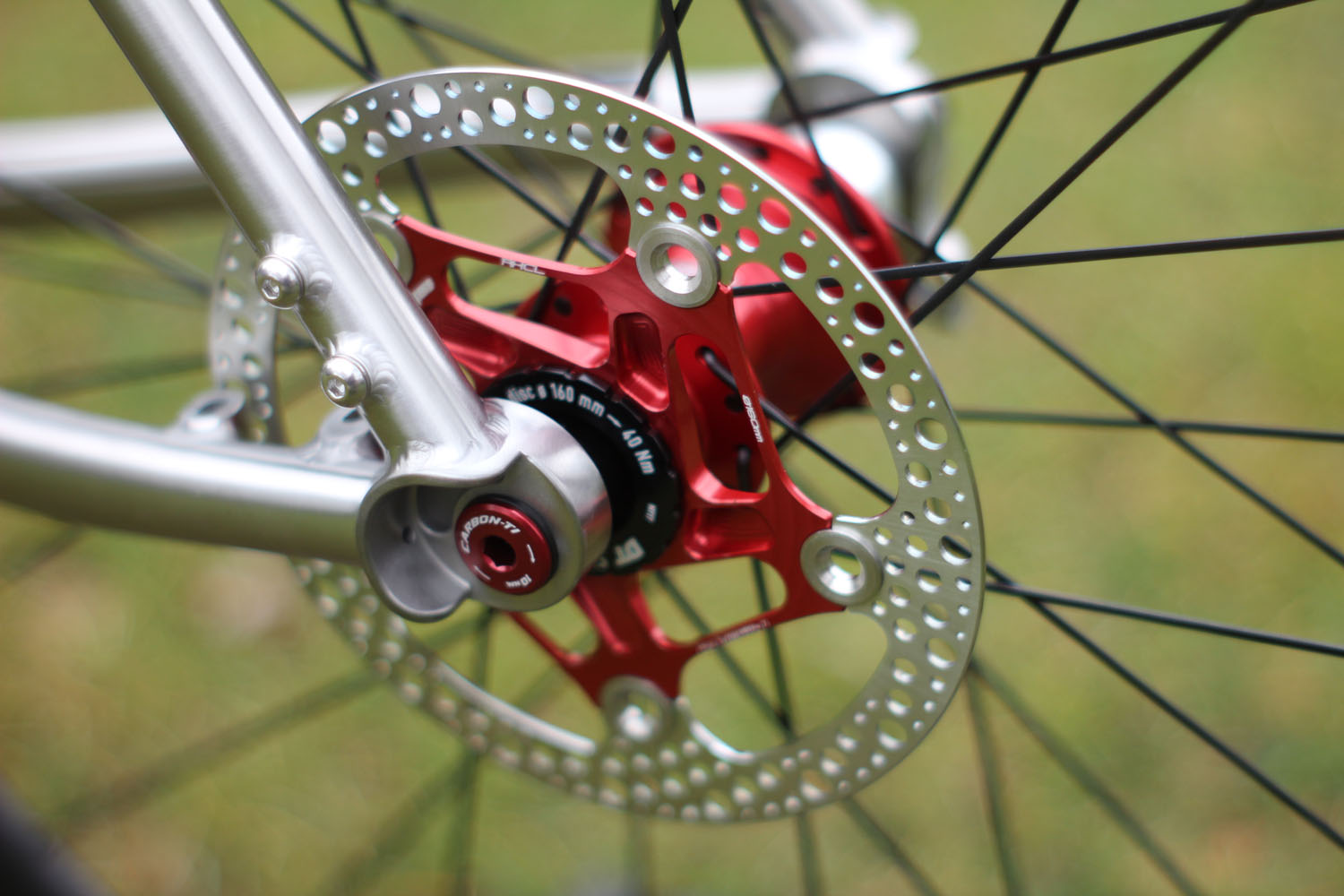 Bockstein - Tuscus with red accents. Stay tuned. Next week... | Facebook