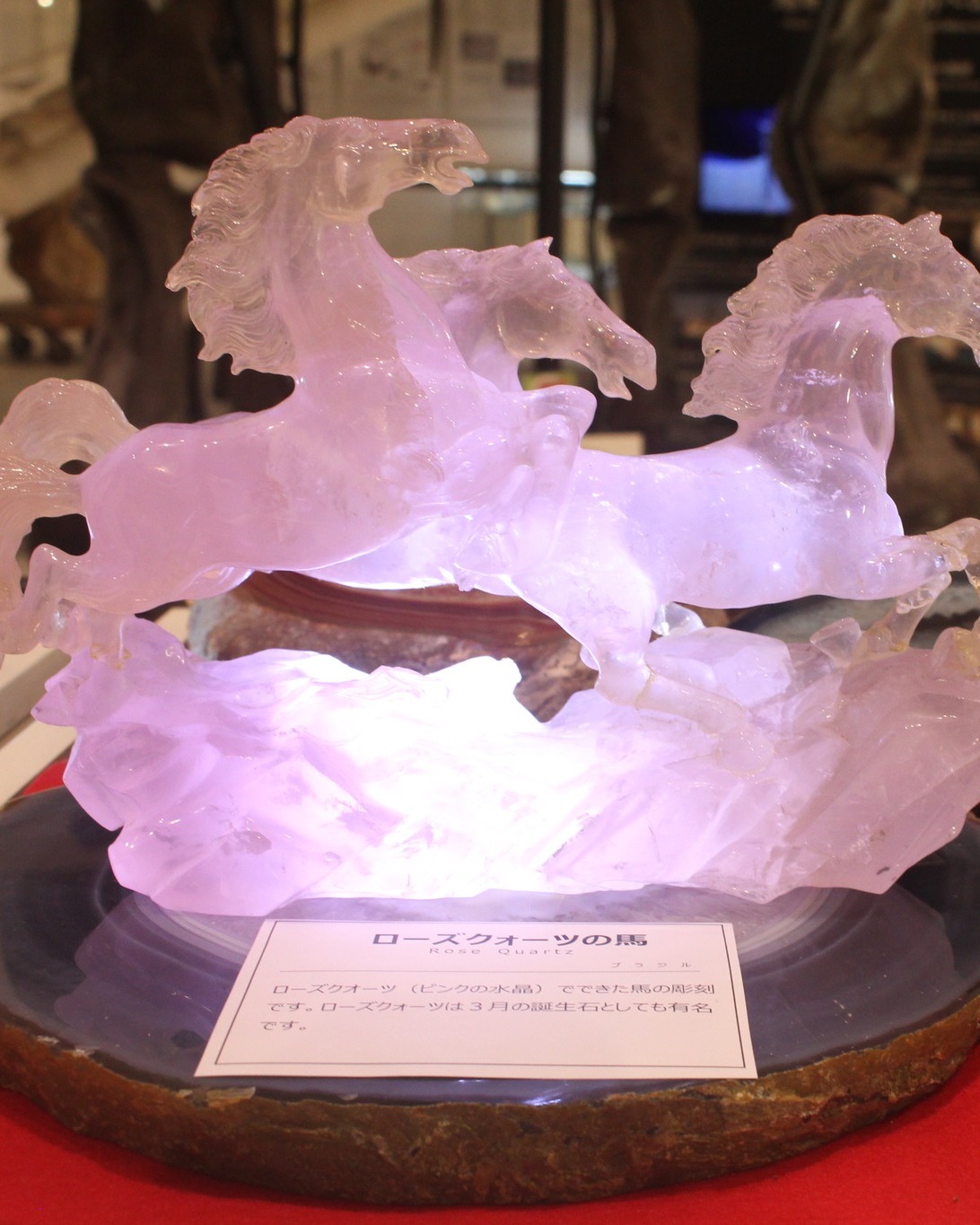 玄武洞ミュージアム Genbudo Museum added - 玄武洞ミュージアム