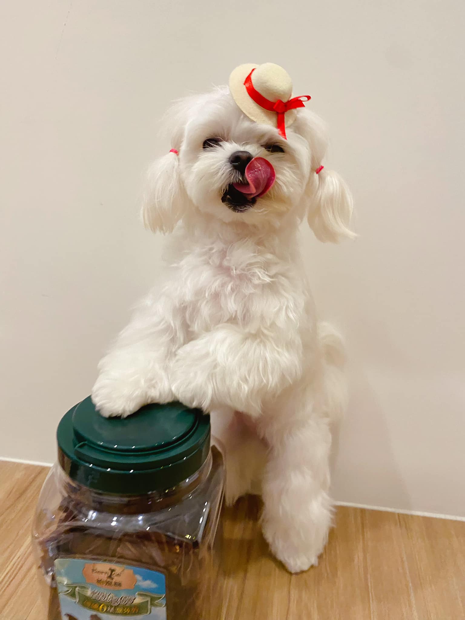 咪妮小賊 - 👒 我媽媽說我帶這頂很像百貨公司的電梯🛗小姐 本來想走優雅路線～～ 意外的後面照片又變成大哥路線😂... | Facebook