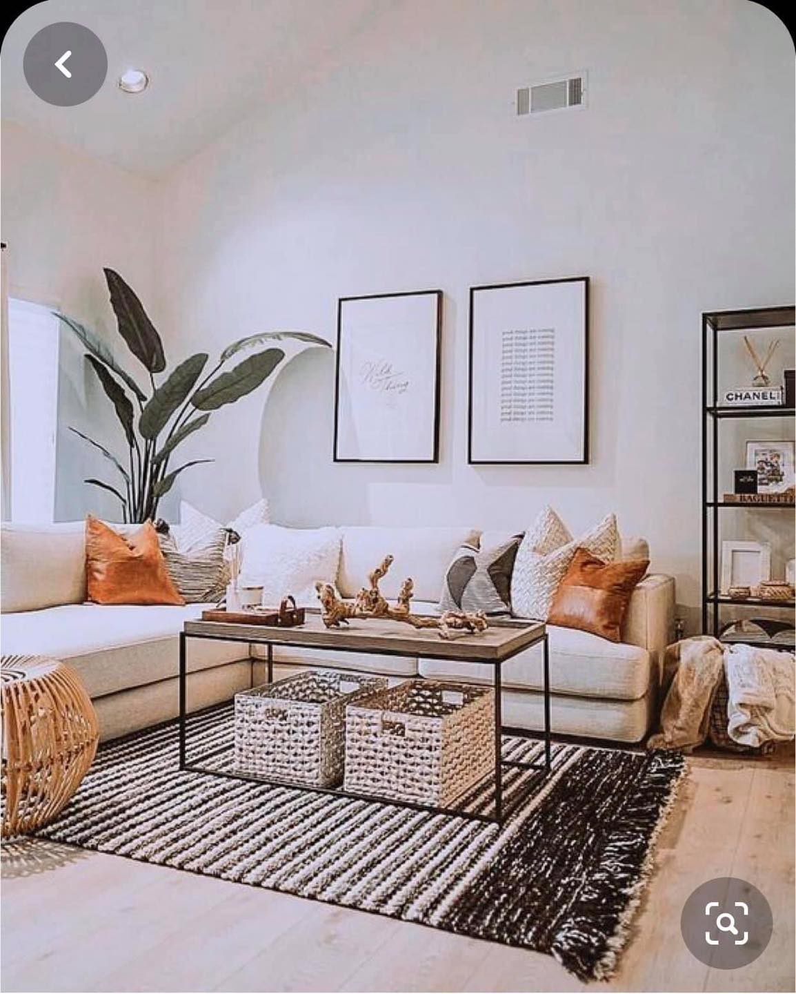 Gia dụng Nhà Xinh & decor