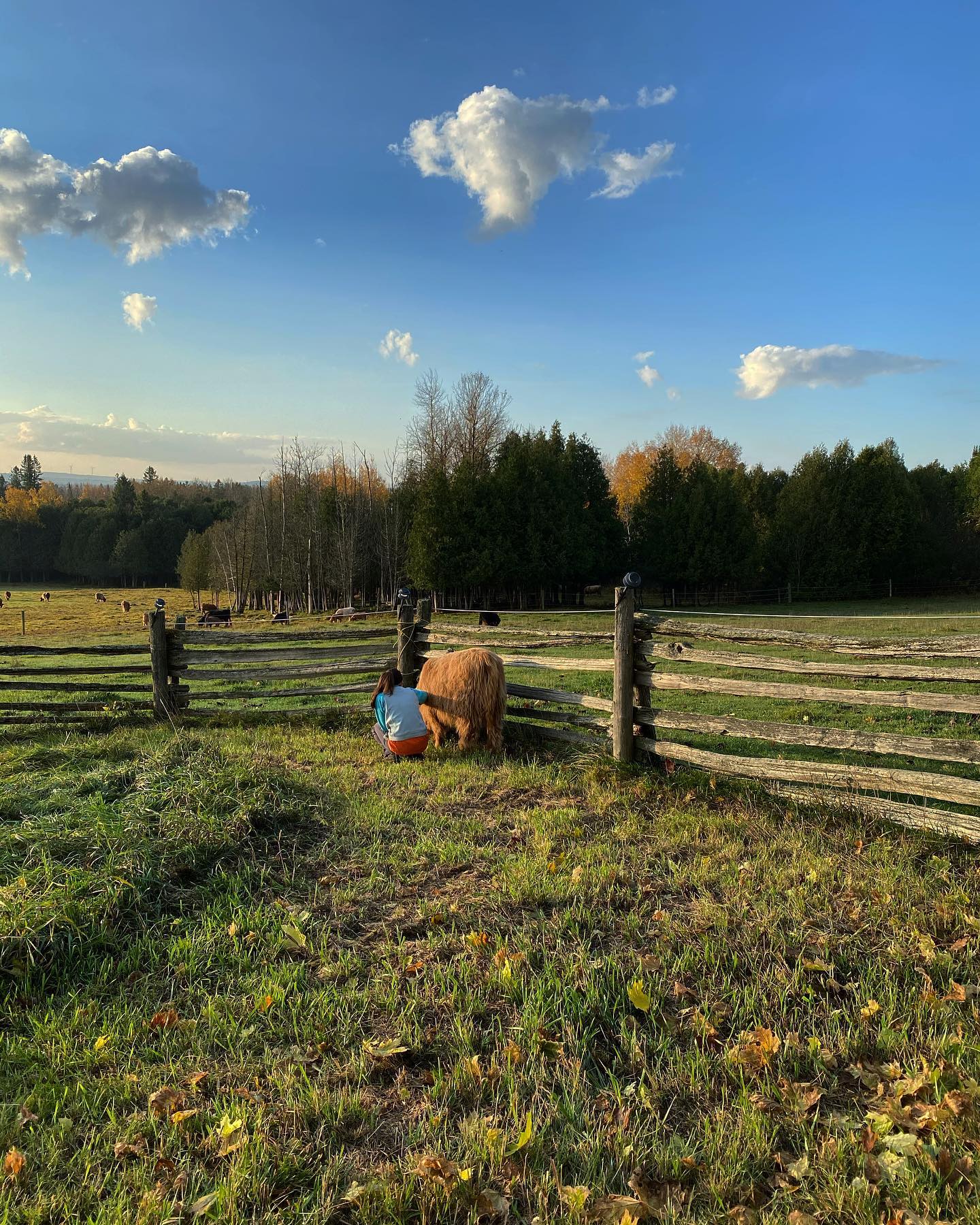 LifeSpring Beyond Organic Farm | Kawartha Lakes ON