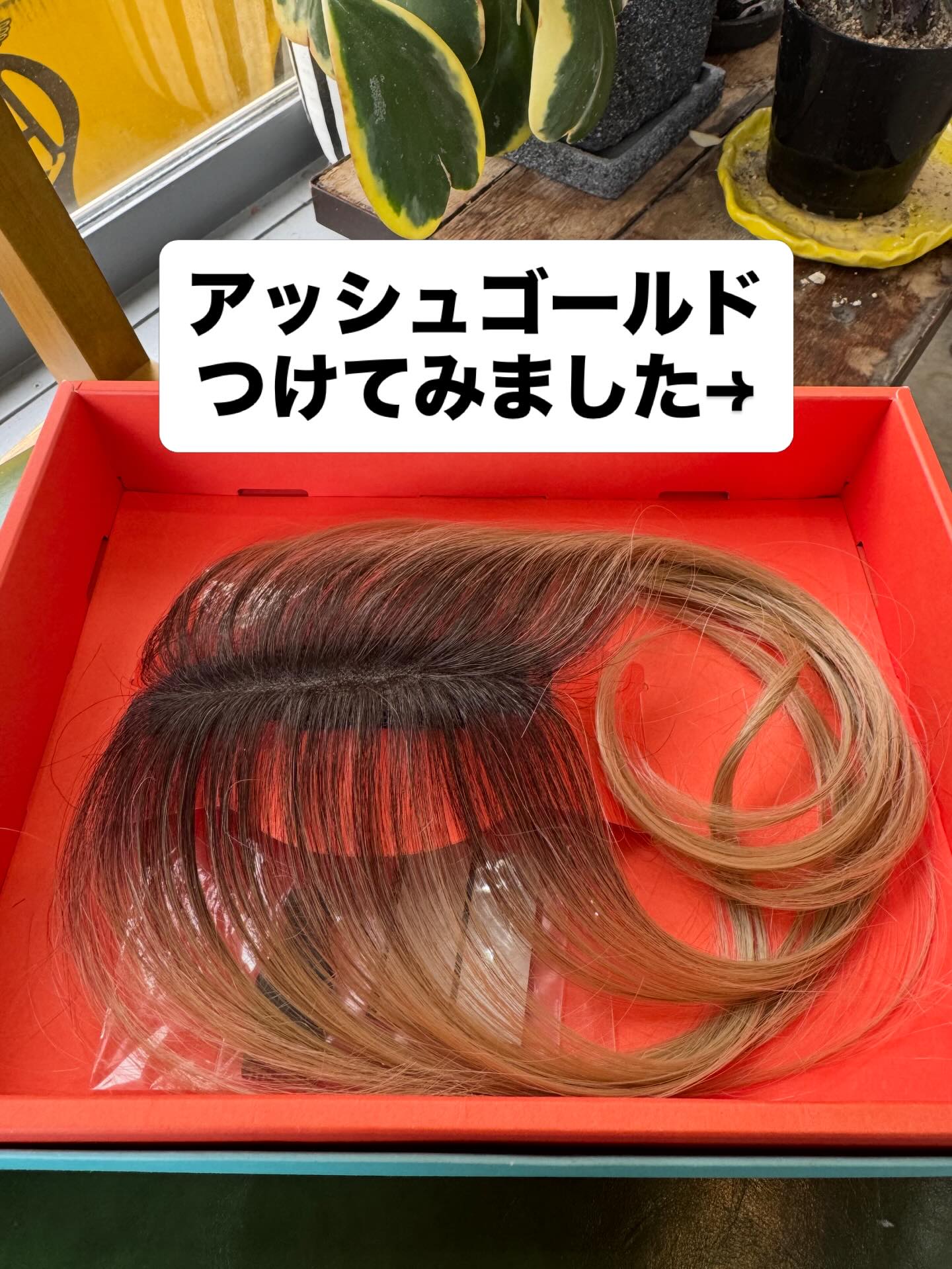入荷2ヶ月待ち‼️ 大人気の 🧡💚 #ちょいぷらす 💚🧡 アンドアートでも