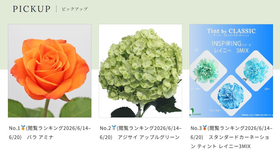 切り花用の中くらいの株ですapple jack 輸入切花専門商社 株式会社クラシック (@cj9649) • Facebook