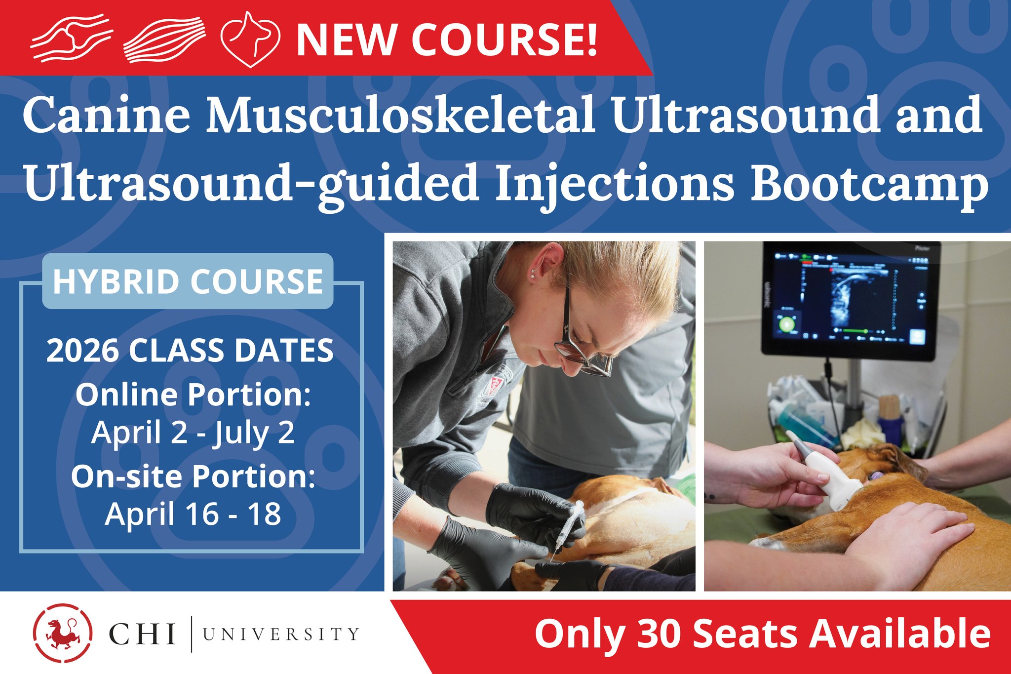 Chi University - 📣 New Course Alert! We're excited to... | Facebook