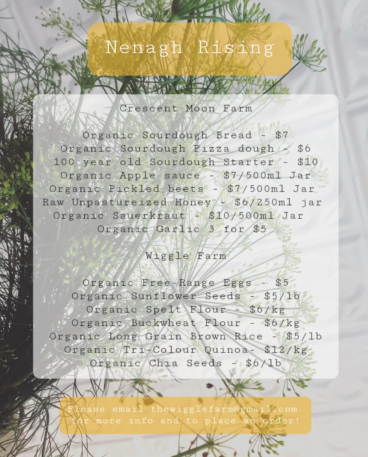 Groovy Roots Market | Durham ON
