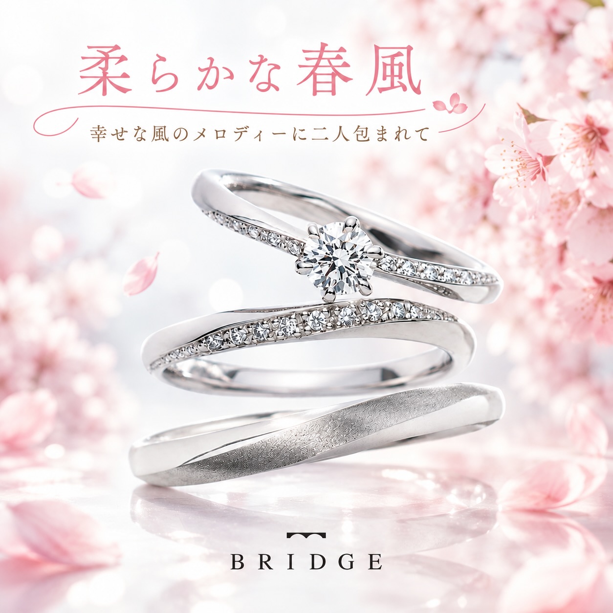 予算に合わせて選ぶ、結婚指輪4選💍 毎日身につけるものだからこそ