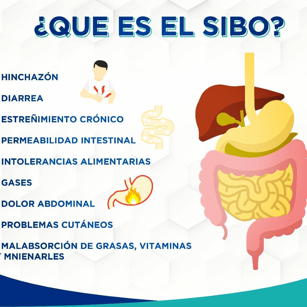 El sobrecrecimiento bacteriano... - Clinka-Bienestar Integral | Facebook