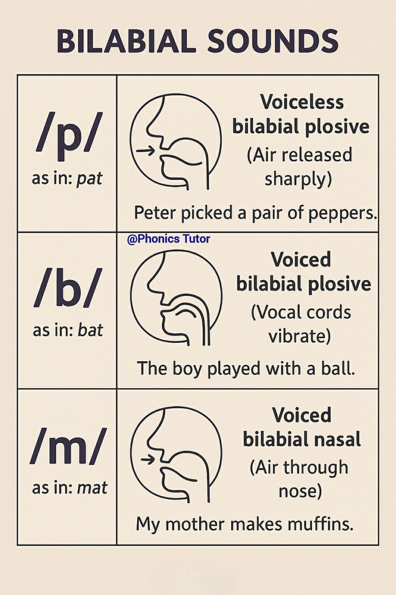 ENGLISH GRAMMAR | Bilabial Sounds in English | Facebook