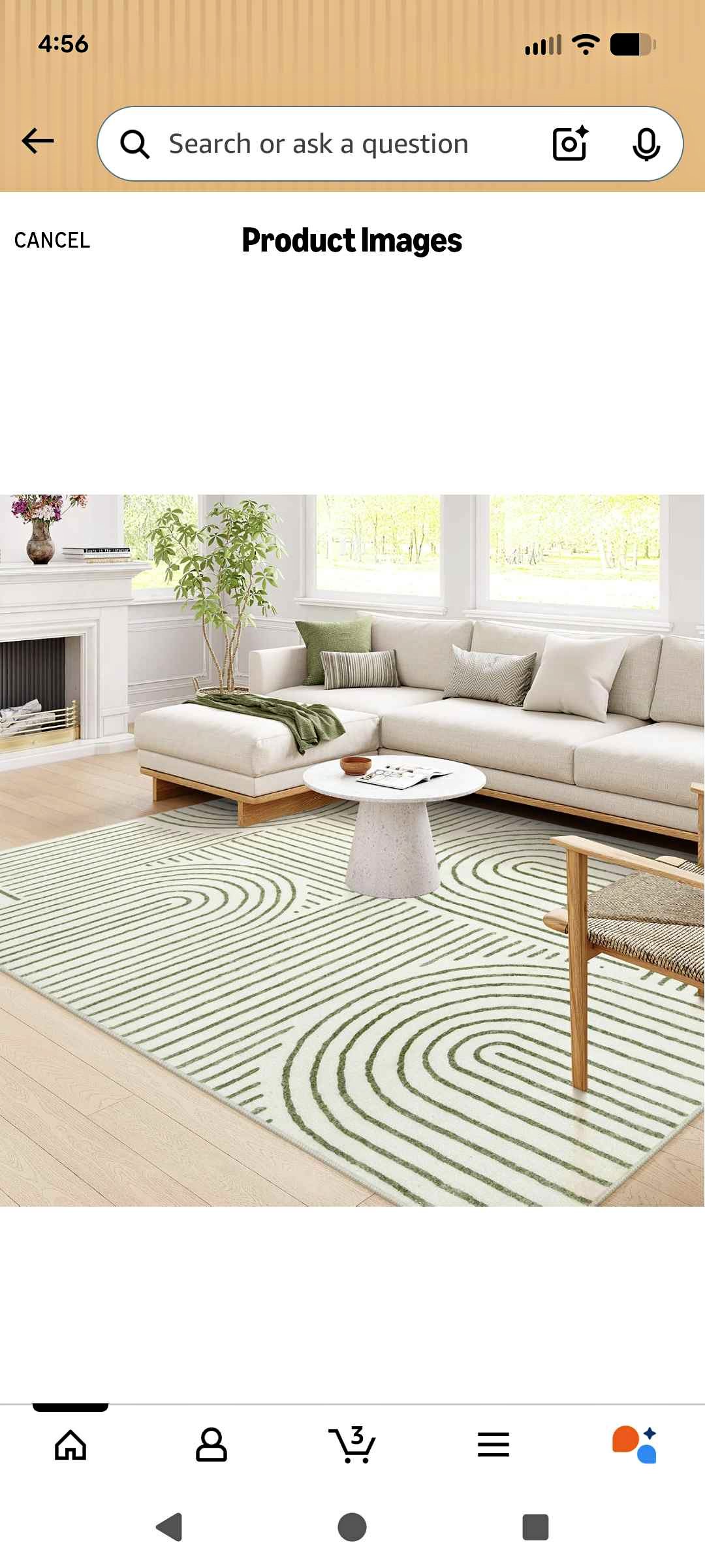 New 6 by 9 green/ivory rug - Area Rugs | Facebook Marketplace | Facebook