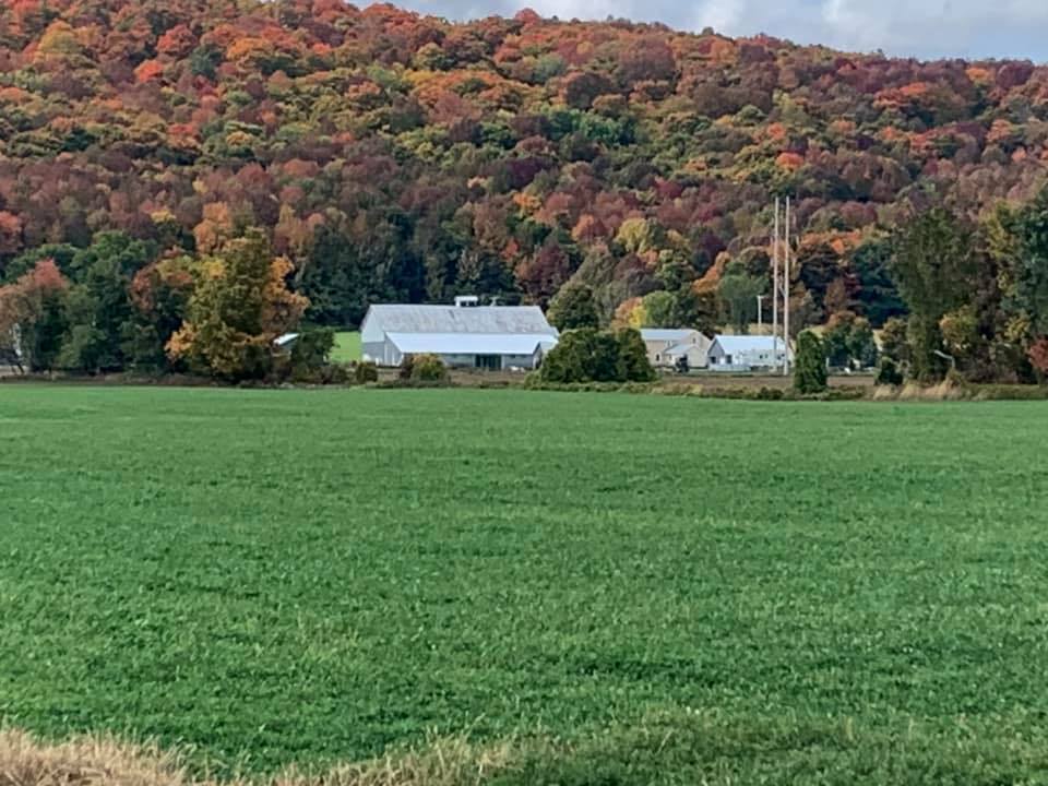 Autumn Ridge Goat Farm | Facebook