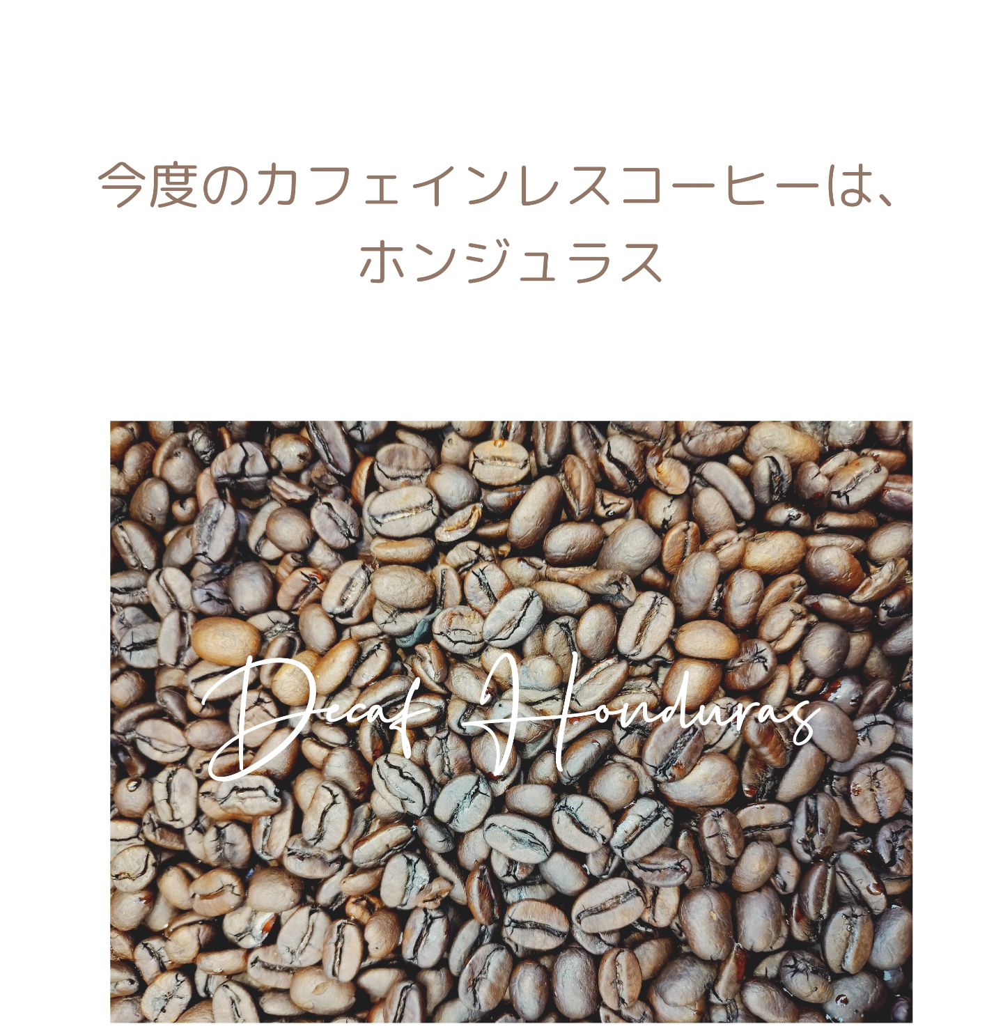 豆日和 Coffee Roaster (@mamebiyori.CoffeeRoaster) • Facebook