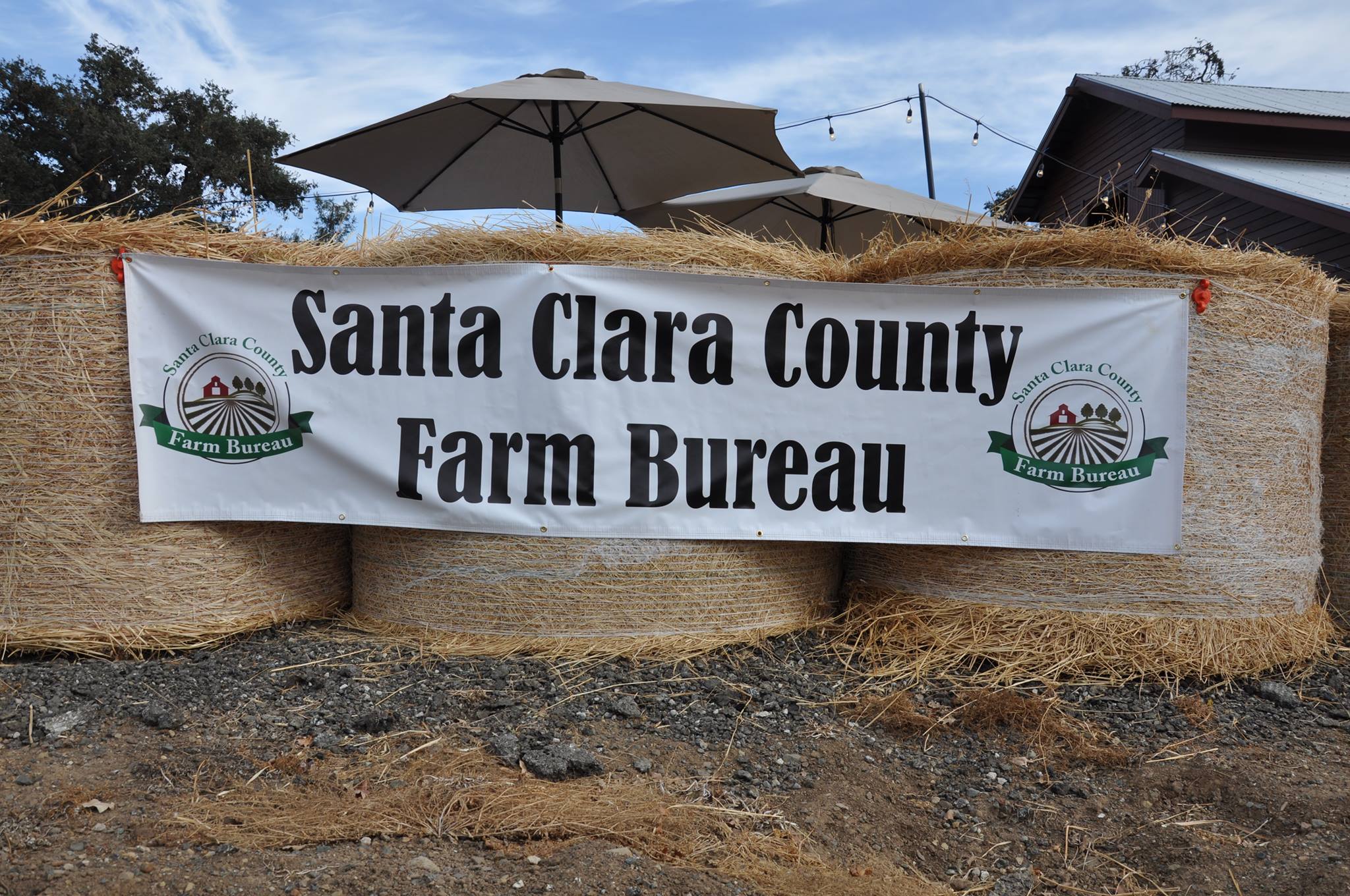 Tilton Ranch | Morgan Hill CA