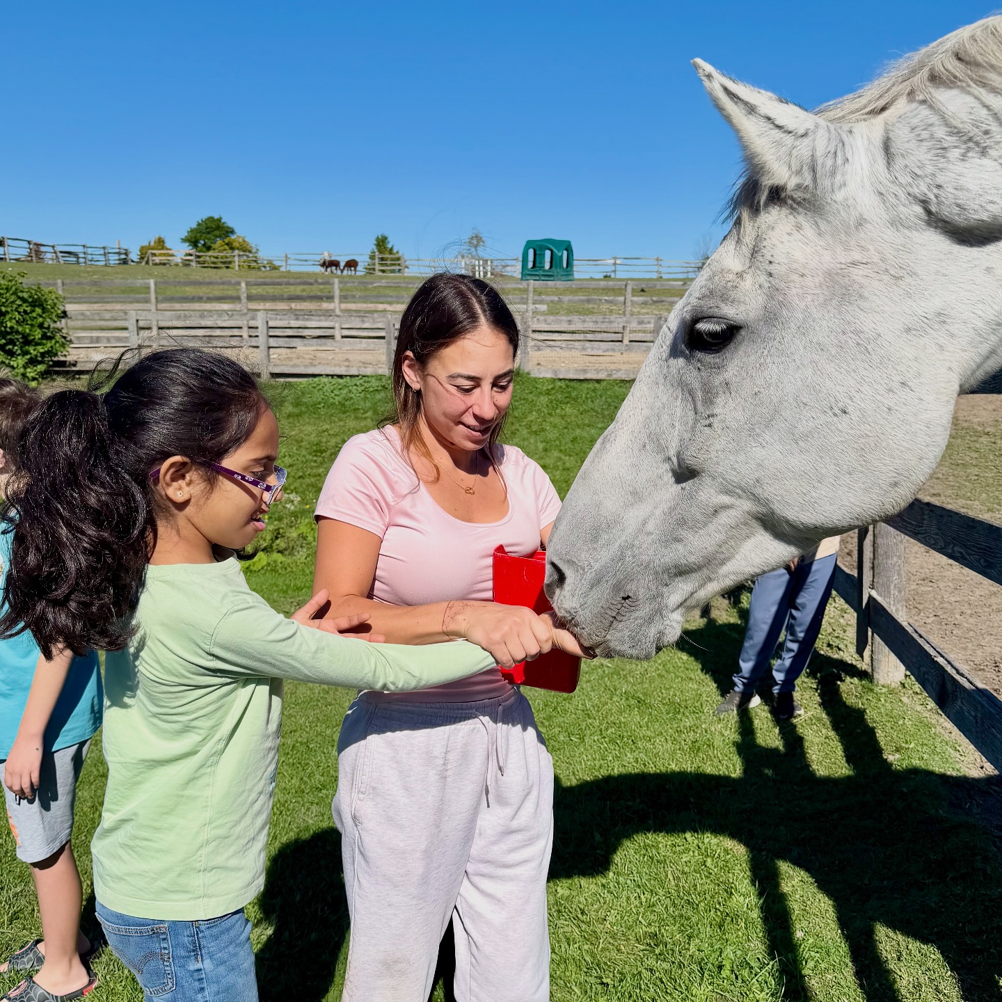The Crystal Ladder Ranch | Newmarket ON