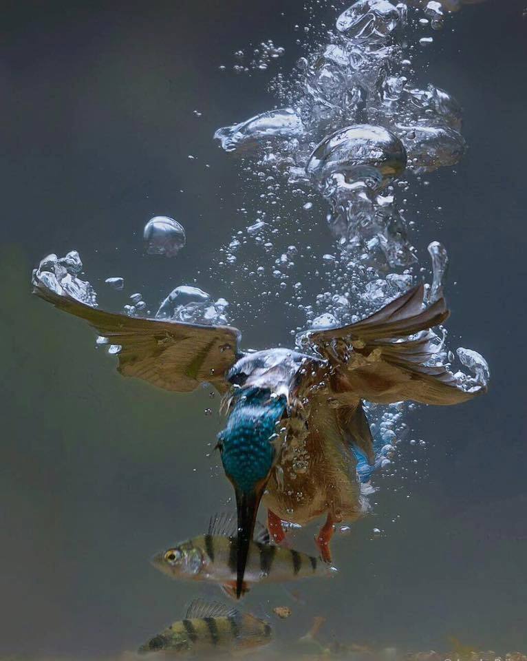 Andrew Weaver Photography