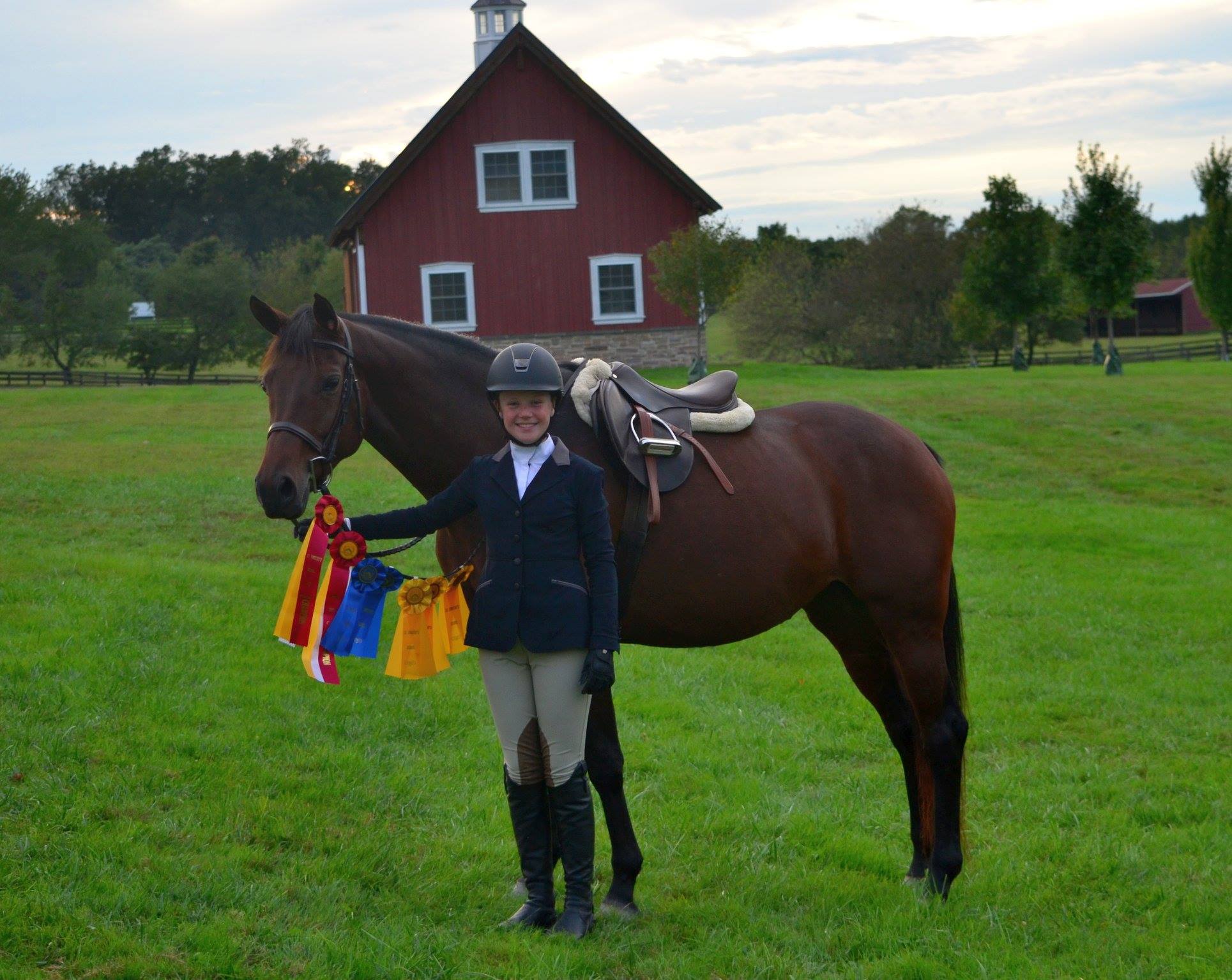 Noble Stables | Baltimore MD