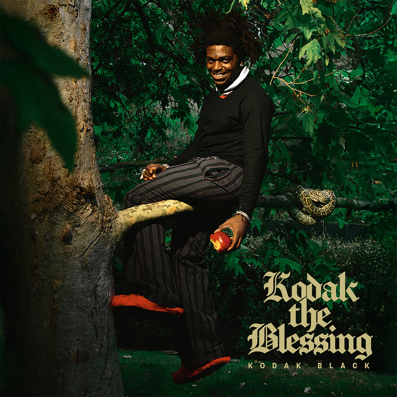 ? NEW ALBUM: Kodak Black – Kodak The Blessing Kodak Black 