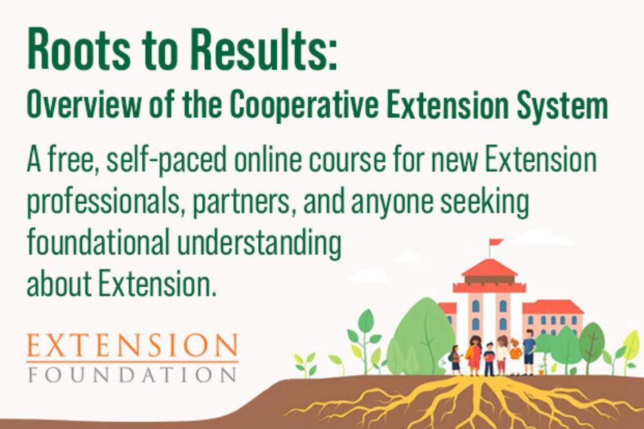 NC - 💡 Curious about the history of Extension, and how it's led to the ...
