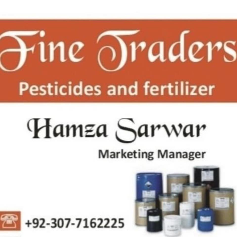 Fine Traders