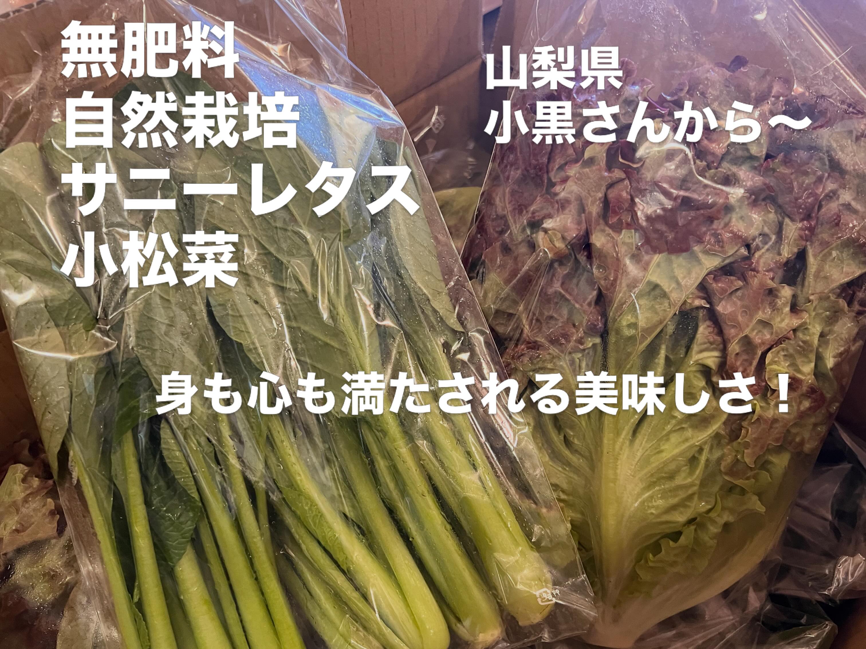 自然食の店あべ Abe Natural... - 自然食の店あべ Abe Natural Foods Store
