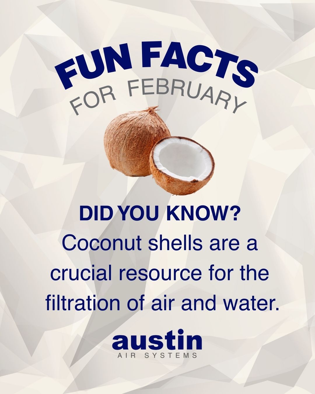 Austin Air - 🎉 FUN FACTS FOR FEBRUARY! Austin Air has... | Facebook