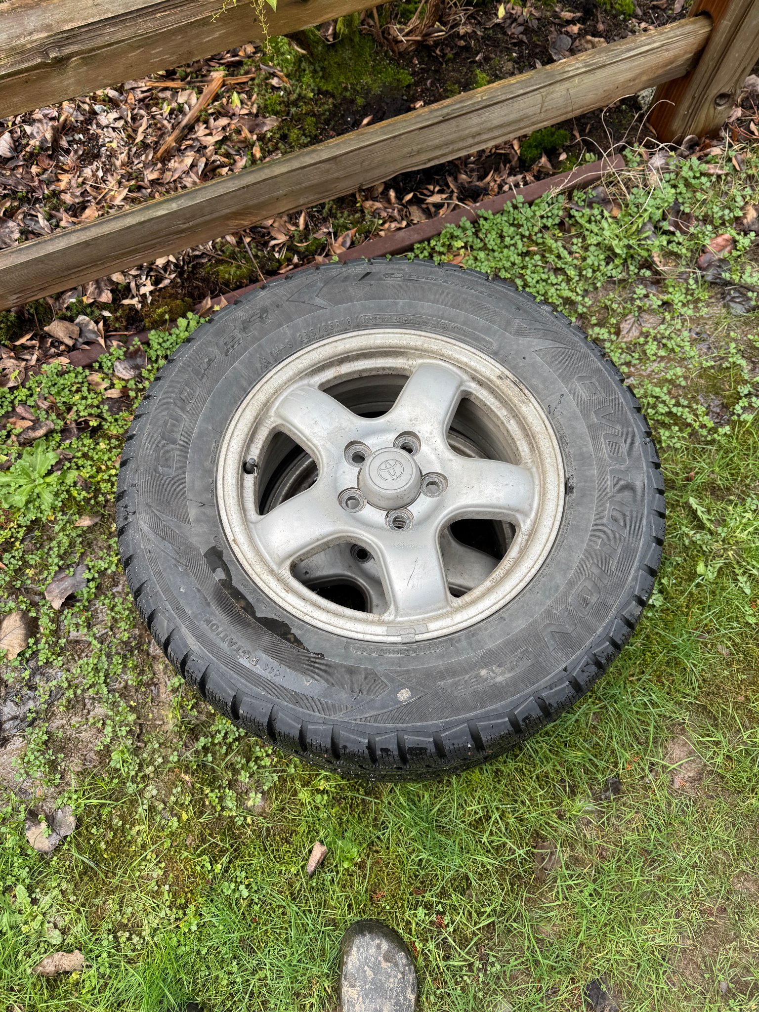Cooper Evolution Winter studded snow tires on RAV4 wheels - Car Wheels ...