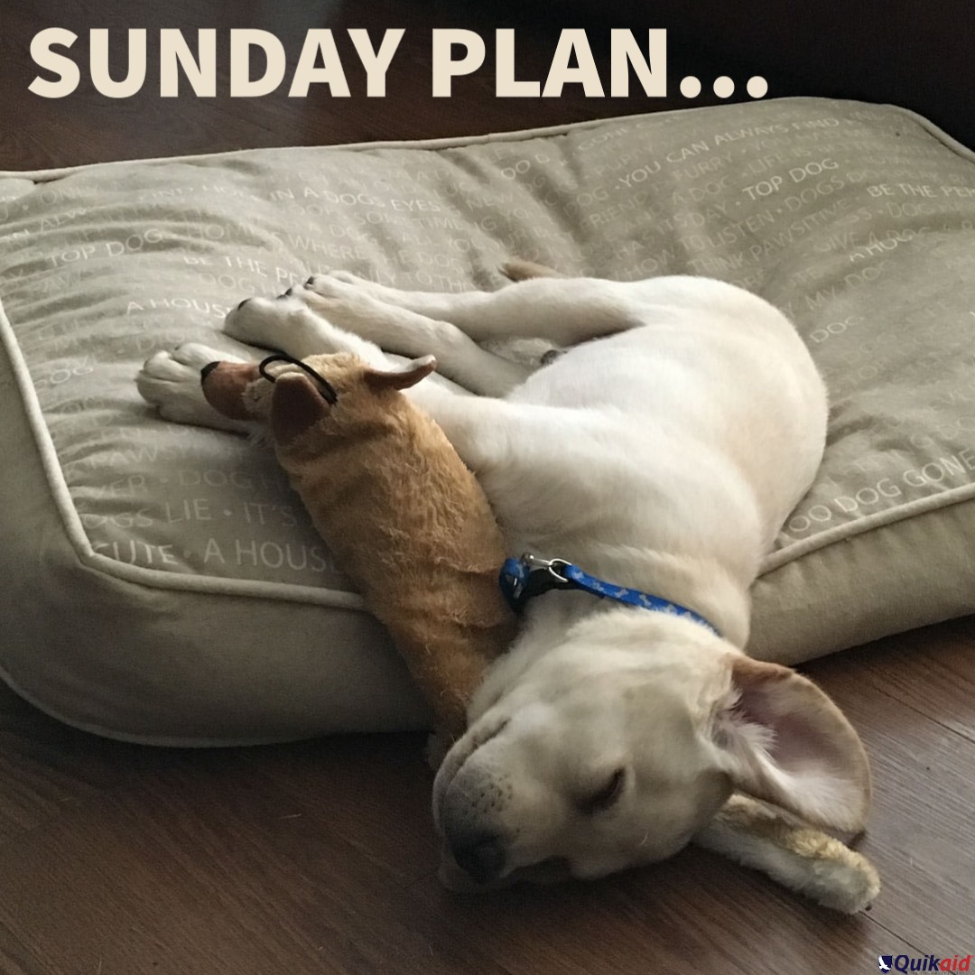 Quikaid - My Sunday Plan: I'll sleep until I'm hungry and...